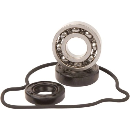 Water Pump Repair Kit