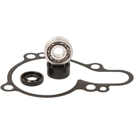 Water Pump Repair Kit