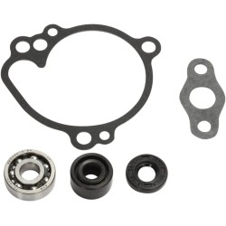 Water Pump Repair Kit