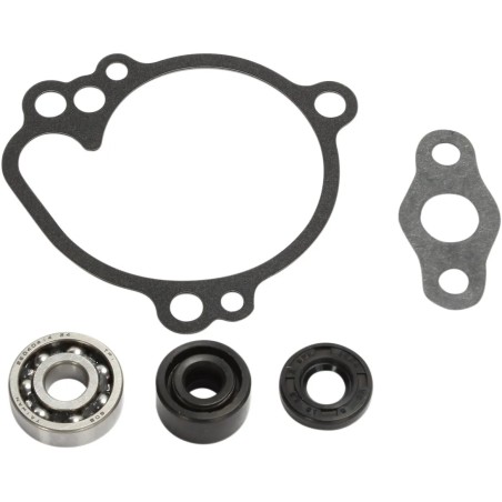 Water Pump Repair Kit