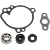 Water Pump Repair Kit