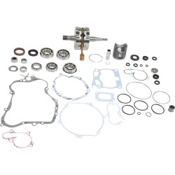 Complete Engine Rebuild Kit for 2-Stroke