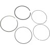 Piston Ring Set