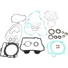 Complete Gasket and Oil Seal Kit
