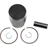 Piston Kit for 2 Stroke