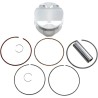 Piston Kit for 4 Stroke