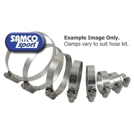 Radiator Hose Clamp Kit