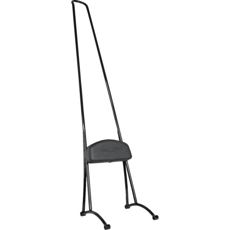 40  Stupid Tall Sissy Bar