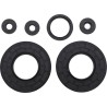 Engine Oil Seal Kit