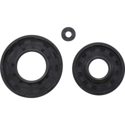 Engine Oil Seal Kit