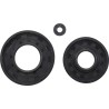 Engine Oil Seal Kit