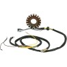Stator pour Polaris