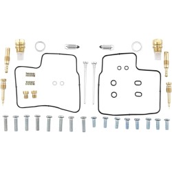 Carburetor Repair Kit