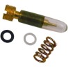 Fuel Mixture Screw Set