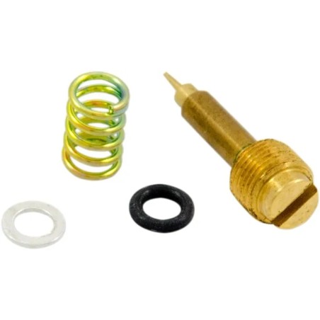 Fuel Mixture Screw Set