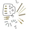 Carburetor Repair Kit