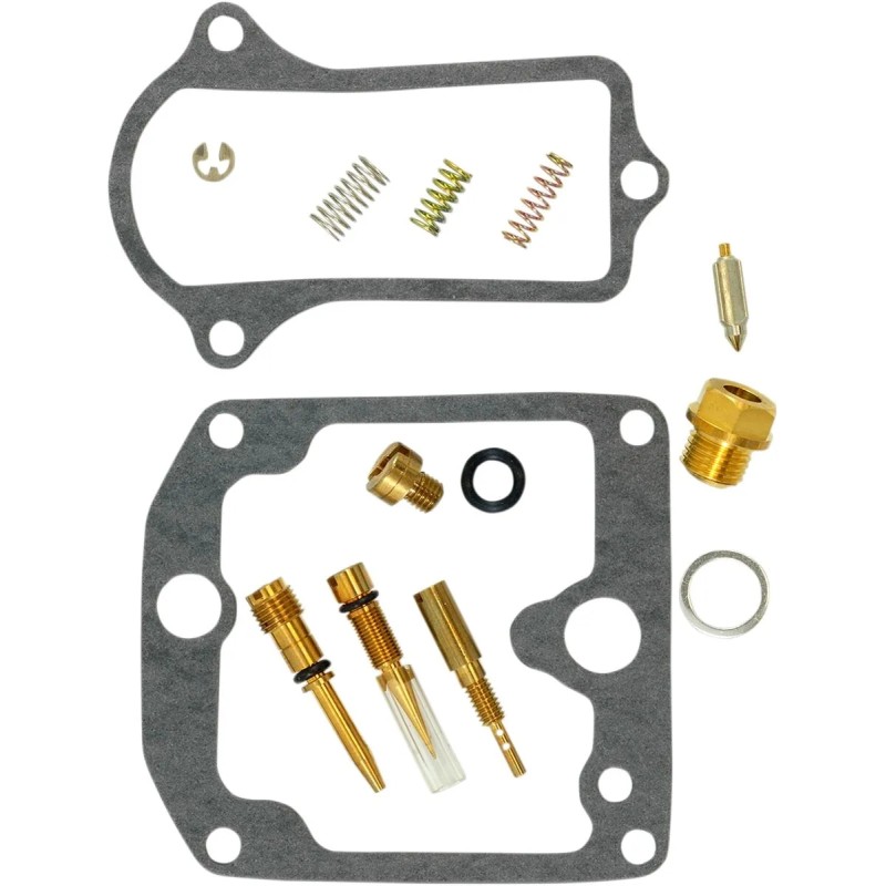 Carburetor Repair Kit