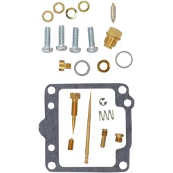 Carburetor Repair Kit