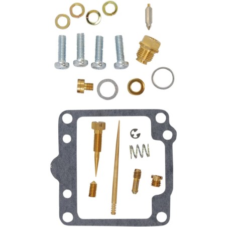 Carburetor Repair Kit