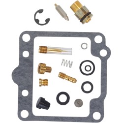 Carburetor Repair Kit