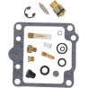 Carburetor Repair Kit