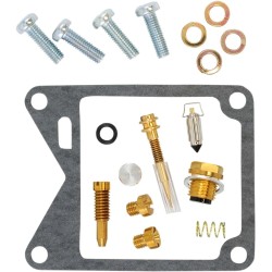 Carburetor Repair Kit