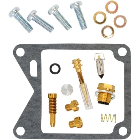 Carburetor Repair Kit