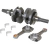 Crankshaft and Rods Kit