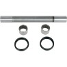 Swingarm Bearing Kit