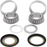 Steering Stem Bearing Kit
