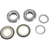 Steering Stem Bearing Kit