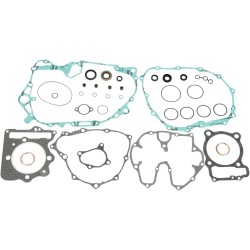 Complete Gasket and Oil Seal Kit