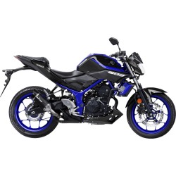 Silencieux Slip-On LV Pro Carbon