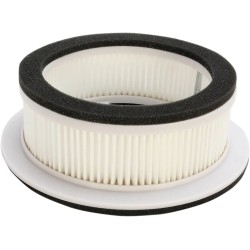 Scooter Air Filter
