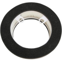 Scooter Air Filter