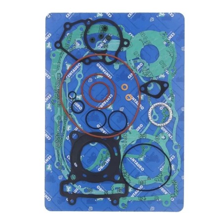Complate Kit Gasket