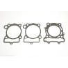 Race Gasket Kit