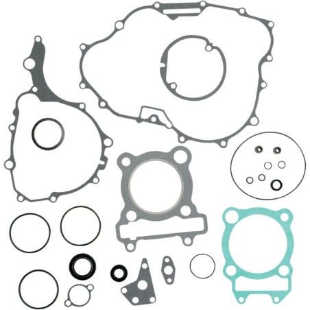 Complete Gasket and Oil Seal Kit