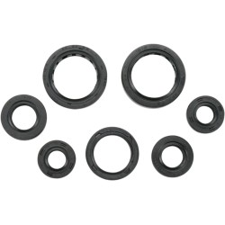 Motor Oil Seals