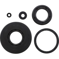 Engine Oil Seal Kit