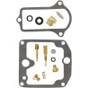 Carburetor Repair Kit