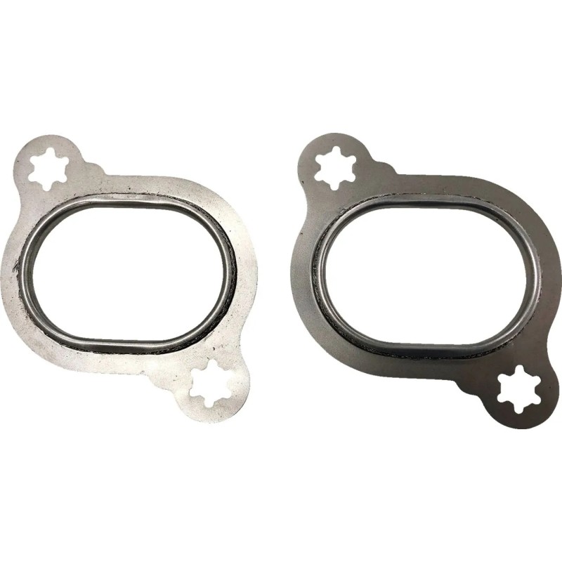 Head Pipe Port Gaskets