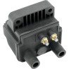 12 Volt Mini Dual-Fire Ignition Coil