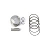 Piston Kit