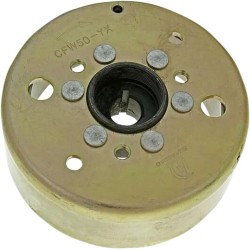 Alternator Rotor