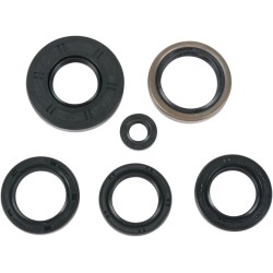 Motor Oil Seals