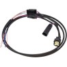 Rear Fender Lighting Harness