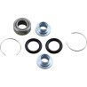 Shock Bearing Kit