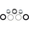 Shock Bearing Kit