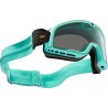 Barstow Goggle